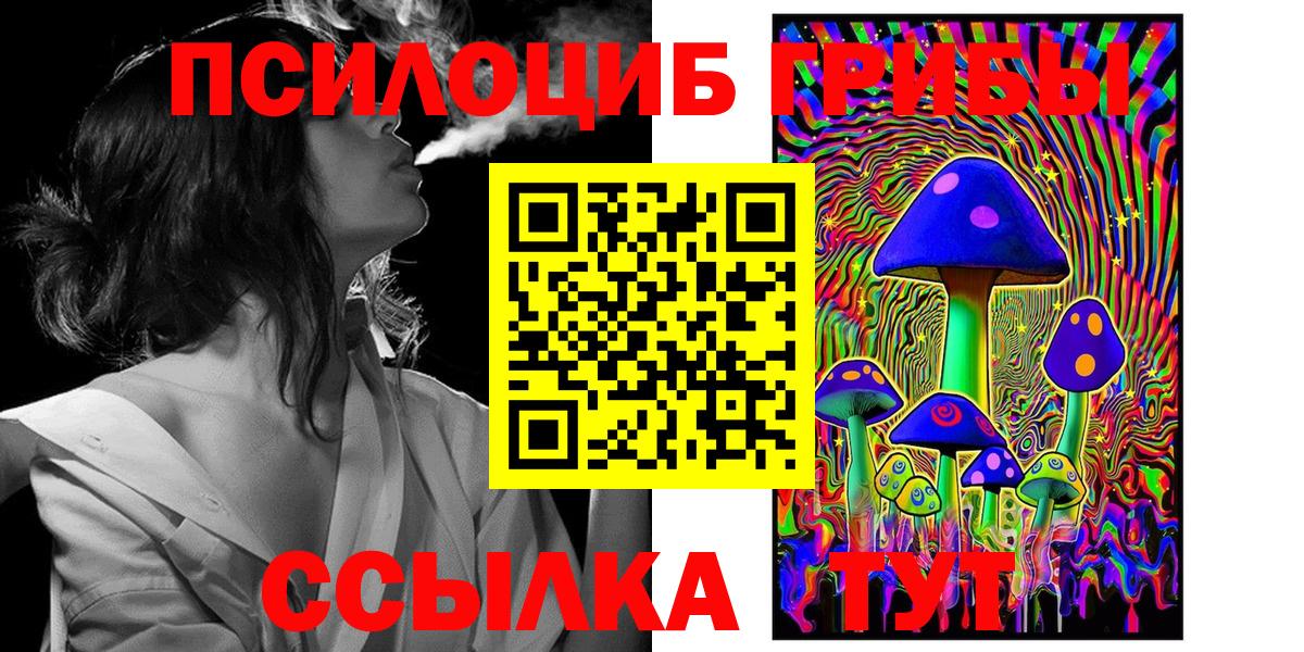 Псилоцибиновые грибы Psilocybine cubensis  Вход с VPN  Димитровград 