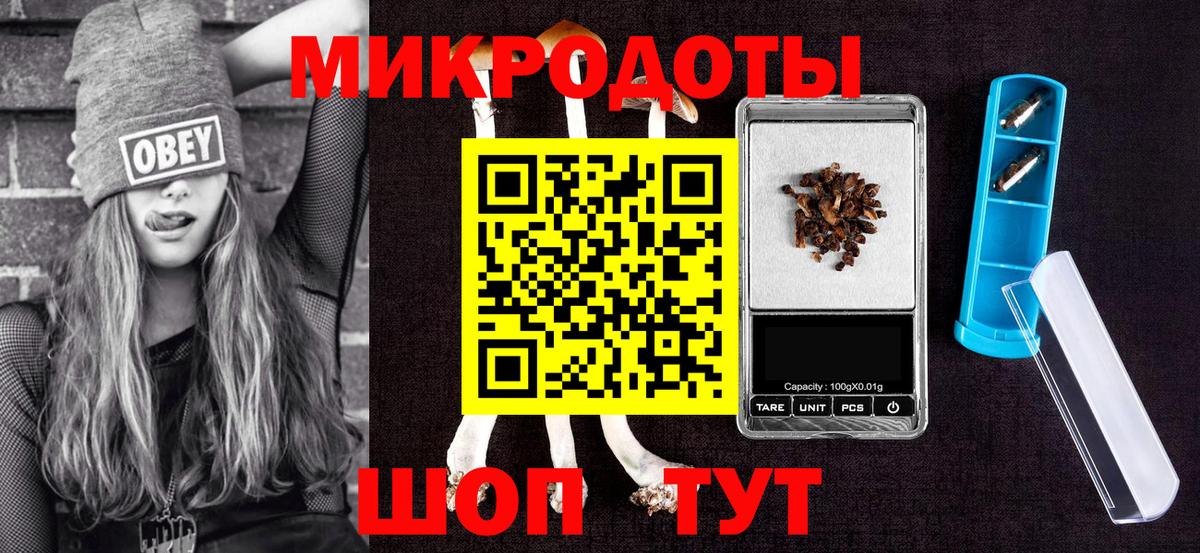 Псилоцибиновые грибы Cubensis Димитровград